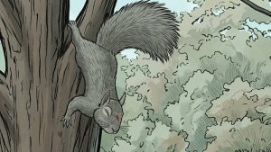 L'écureuil blanc | Villeray